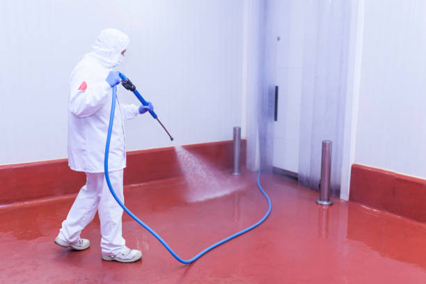 Best Concrete Sealing  in Oak View, CA